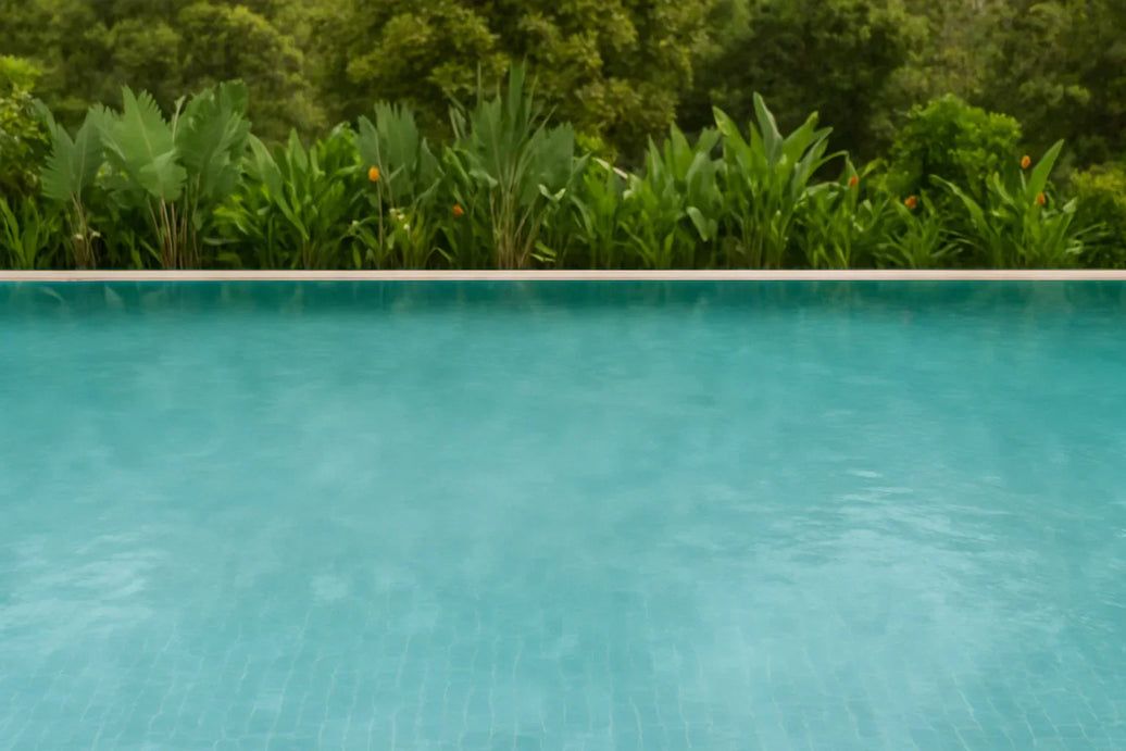 How to achieve Crystal Clear Water