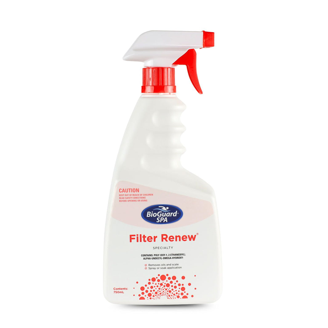 BioGuard Spa Filter Renew 750ml